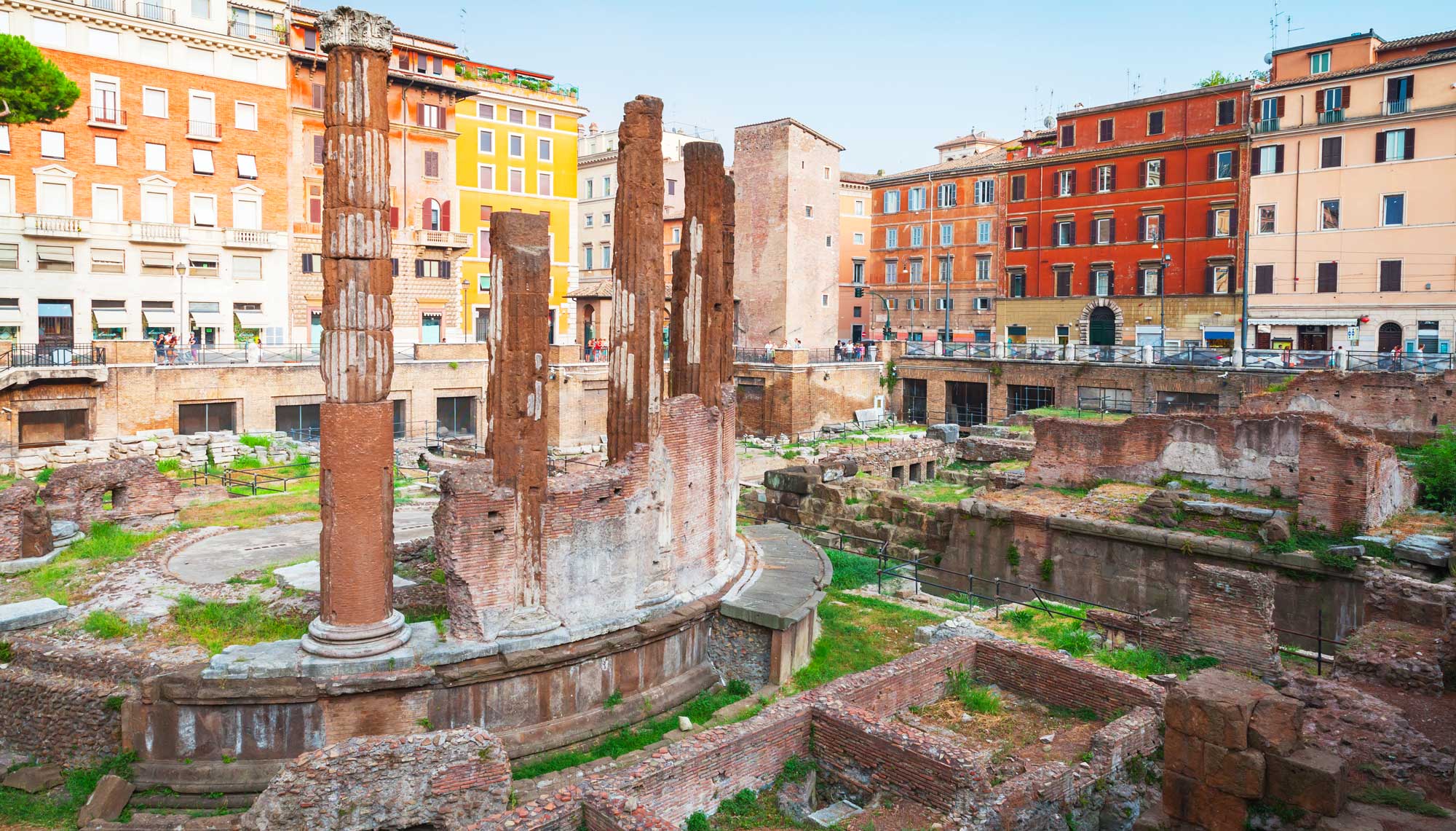 Largo argentina best sale cat sanctuary