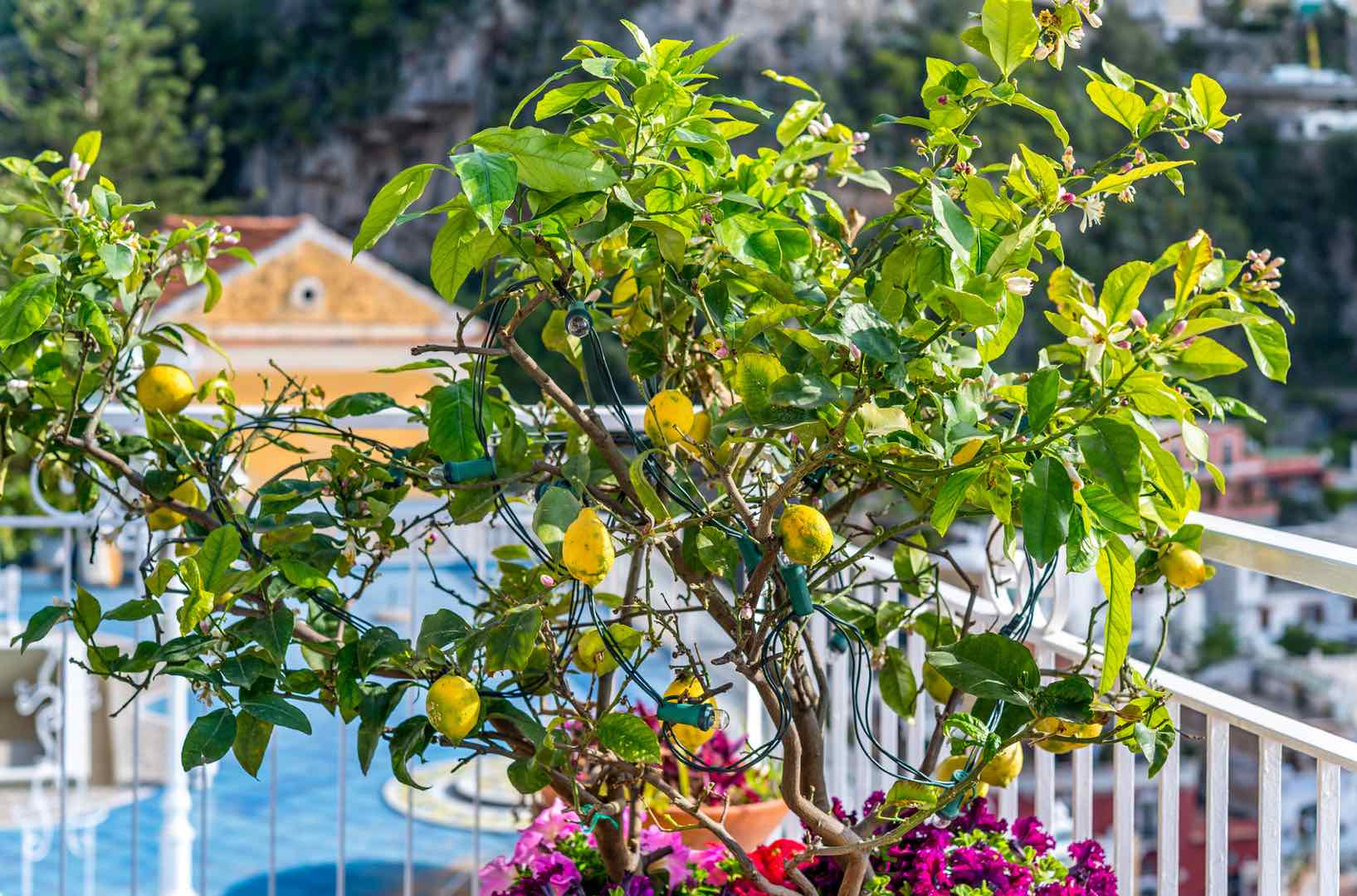 5 Books to Read Before Visiting Italy by Italy Perfect Lemon Tree