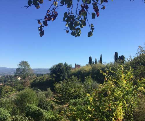 vintage Vespa tour of Tuscany by Italy Perfect