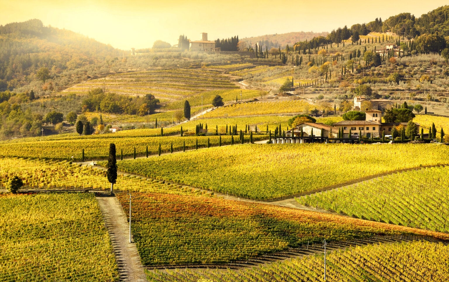 What to Eat in Italy in the Fall Italy Perfect Travel Blog Italy