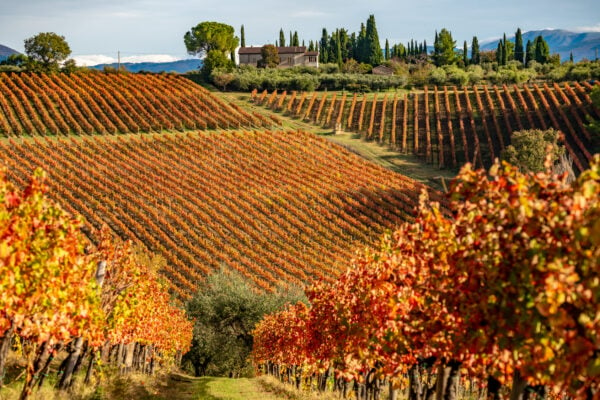 Eat in Italy in the fall