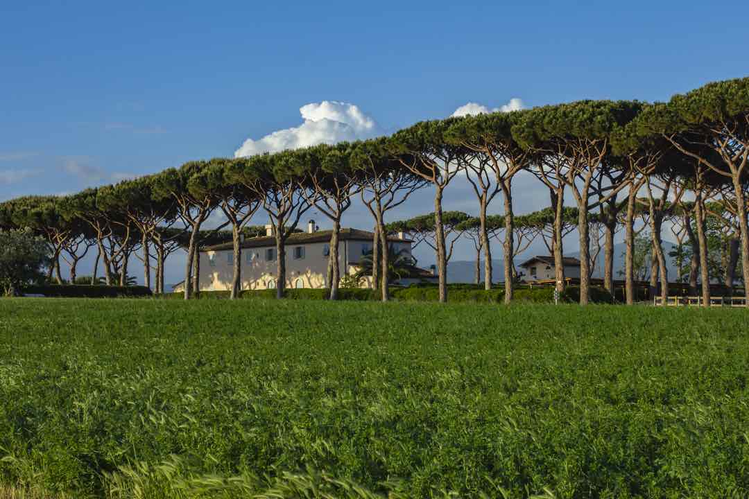 Antinori Chianti Tuscany Vineyard