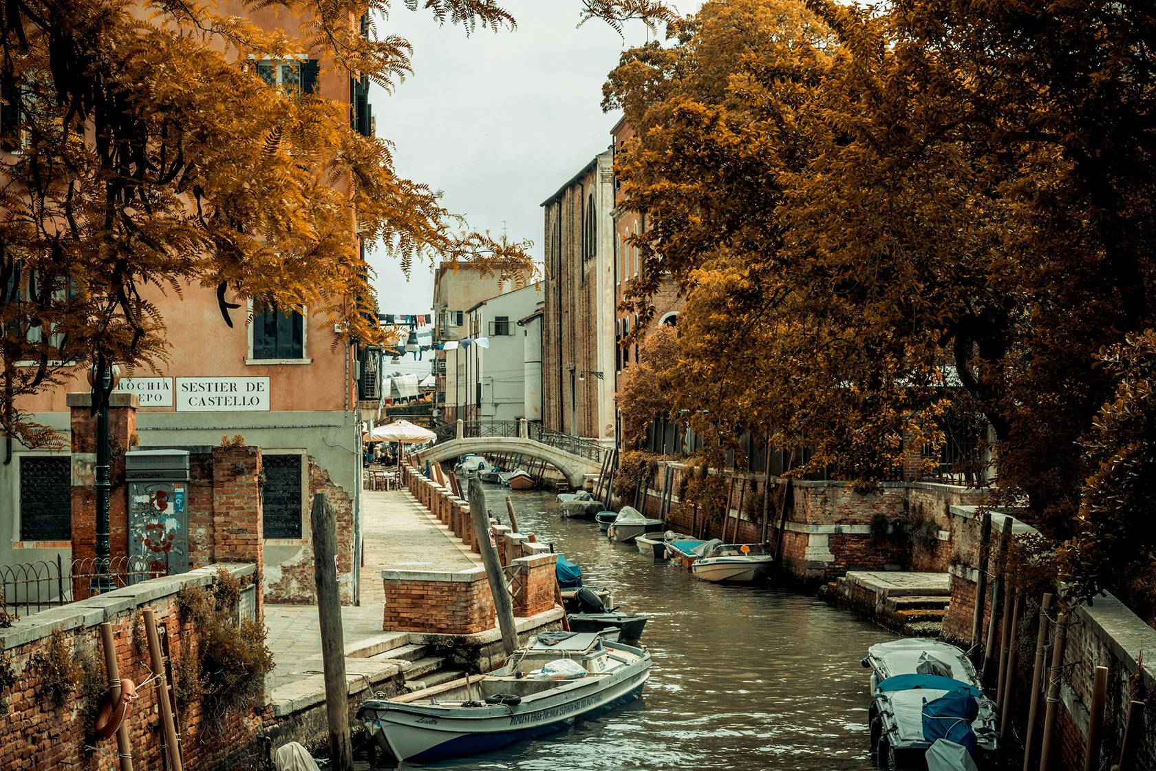 l'automne