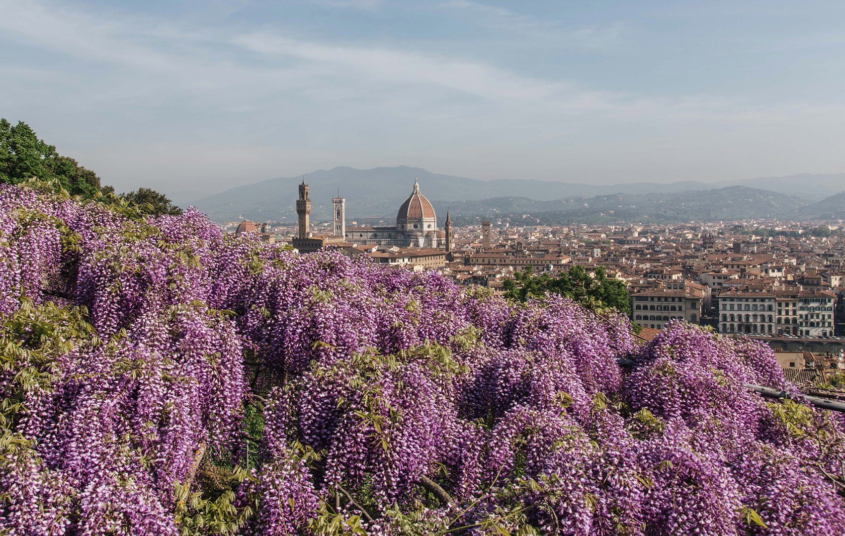 Florence spring