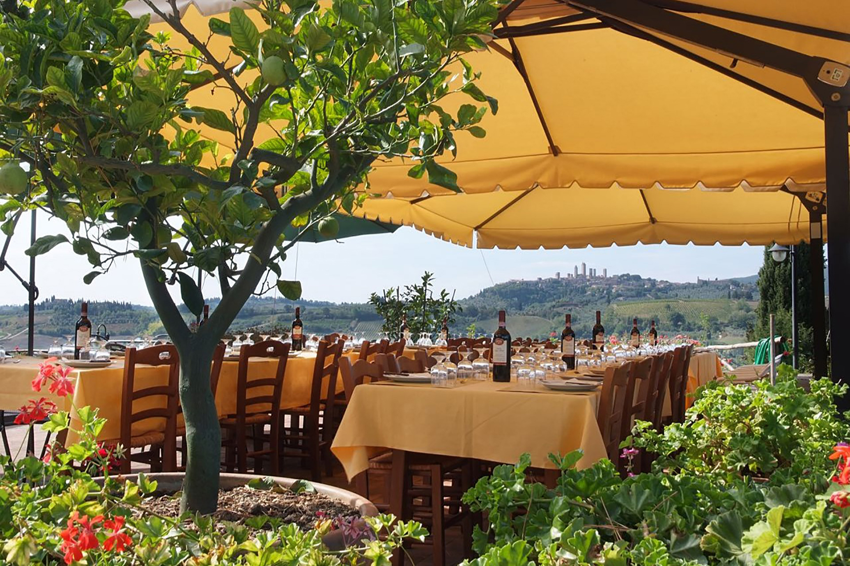 Tuscany wine tour from Florence