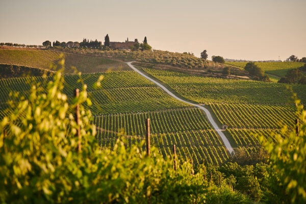 Tuscany wine tours from Florence