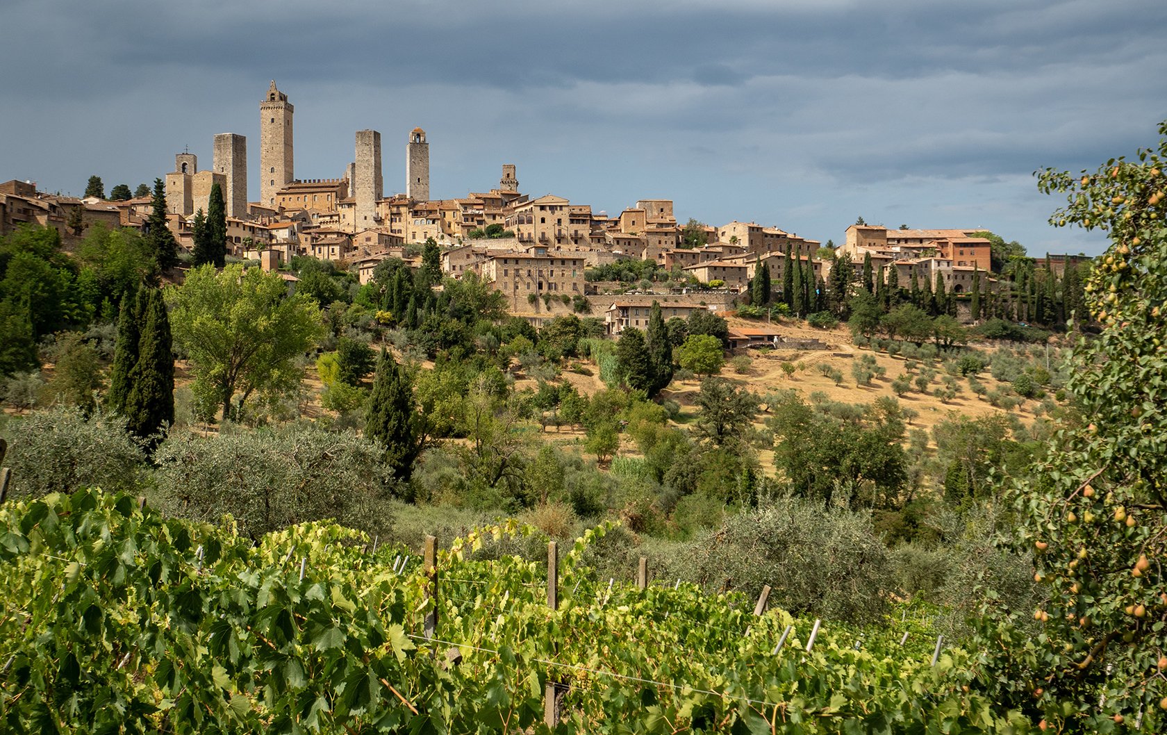 Italy Tuscany wine tour