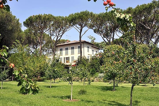 Destino Villa