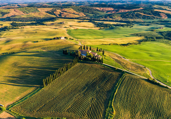 Full Day in the Val D'Orcia (from Siena)