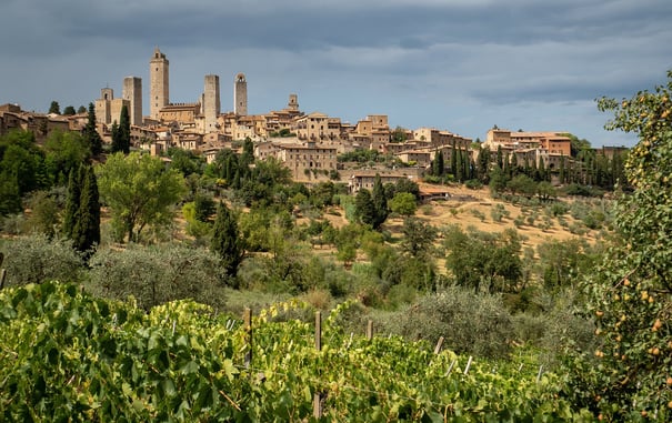How to Savor the Wines of Tuscany While in Florence