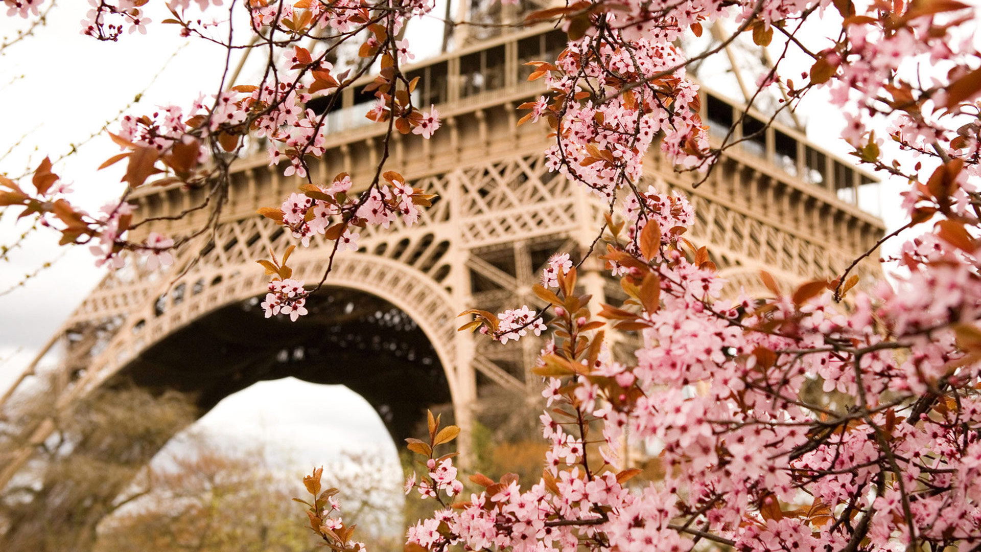 Book Direct Sale: Get a Free Night this April in Paris!